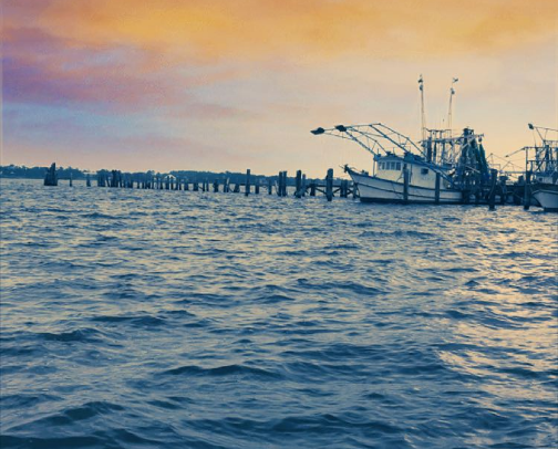 Things To Do On The Mississippi Gulf Coast cover photo collage