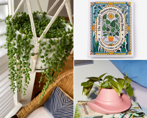 Gifts for plant lovers cover photo collage