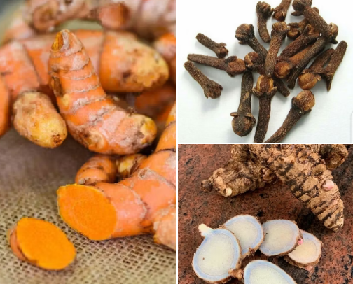 "Herbal and Natural Ingredients for Health" cover photo collage