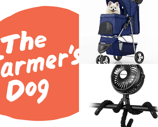 Tail Waggers Guide! cover photo collage
