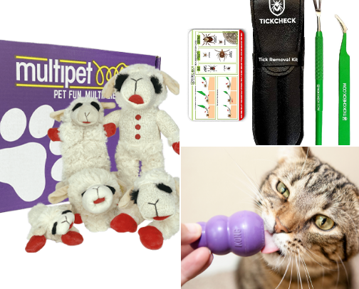 Essentials for dog and dog owners cover photo collage