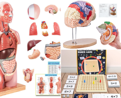 Homeschool Magic: Hands-On Tools That Make Learning Stick cover photo collage