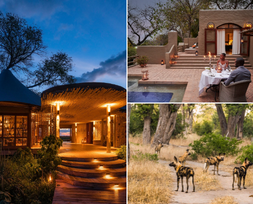 Best Destinations in Botswana cover photo collage