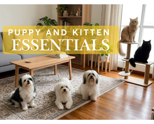 New Puppy & Kitten Essentials cover photo collage