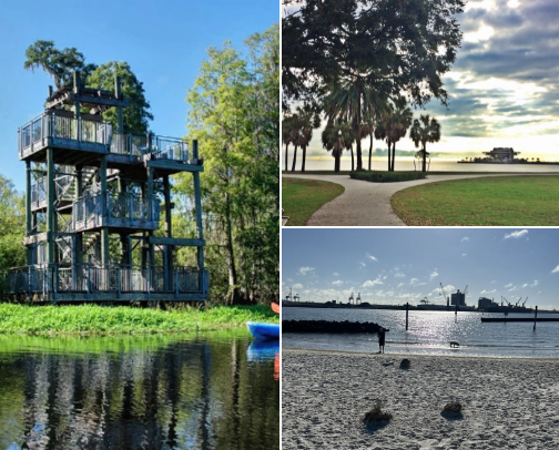 Tampa’s Most Scenic Parks & Breathtaking Hidden Beaches cover photo collage