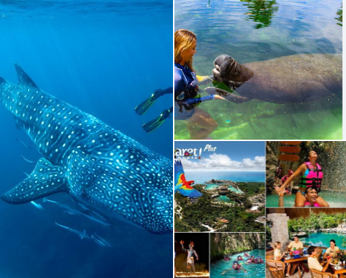 🌎 Tried & True Travels: My Must-Do Picks Abroad cover photo collage