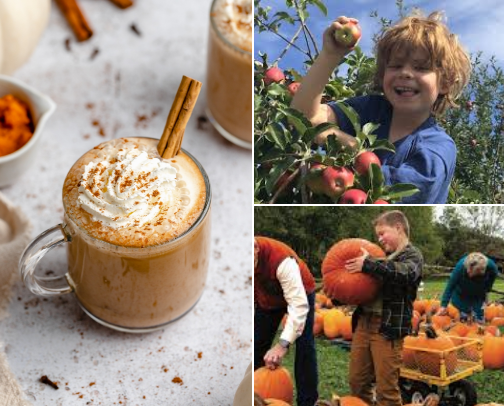 All Things Fall: 15 Cozy Ways to Celebrate the Season cover photo collage