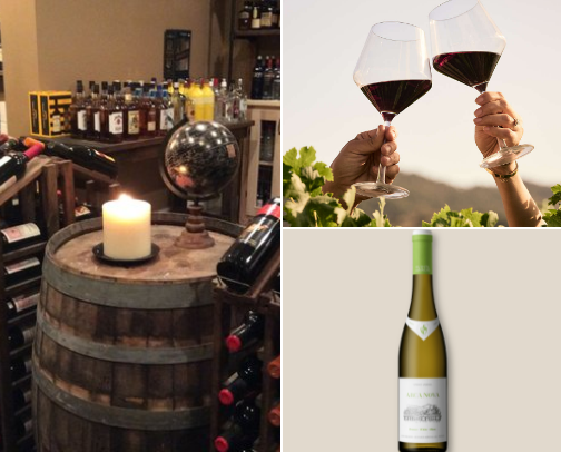 Wine & Dine — Wine Accessories & Recommendations cover photo collage