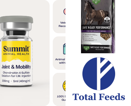 Equine Essentials cover photo collage