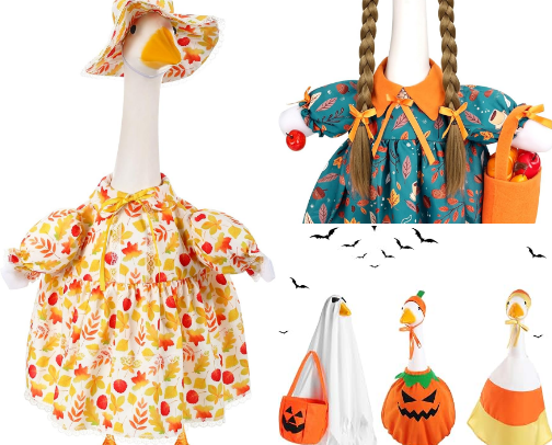 Fall Amazon Finds cover photo collage
