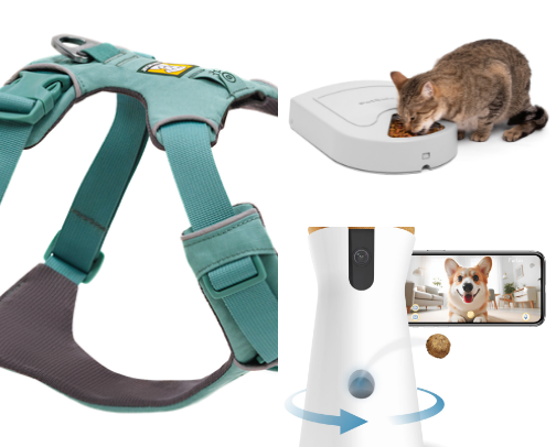 🐾 Pet Essentials Every Dog & Cat Owner Needs cover photo collage