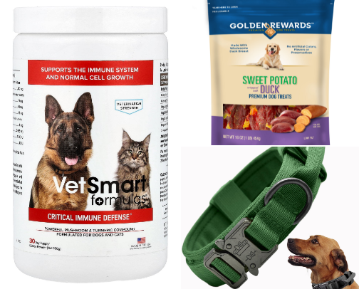 Healthy Dog Must-Haves My Dog Actually Uses (Ca$h-Approved Picks) cover photo collage