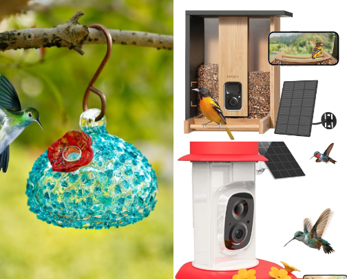 Bird Watching in Your Garden cover photo collage