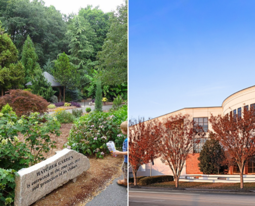 My top Spartanburg recs cover photo collage