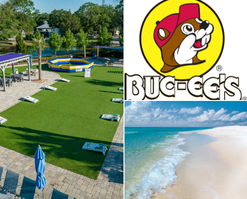 Summer cover photo collage