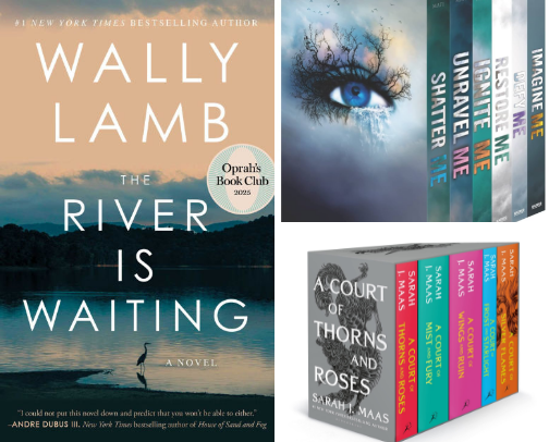 My favorite book recs cover photo collage