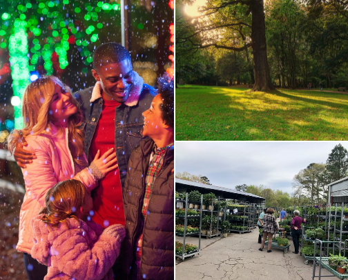 Starter Guide to the Local Small Businesses in the Lilburn/Tucker/Stone Mountain Area cover photo collage