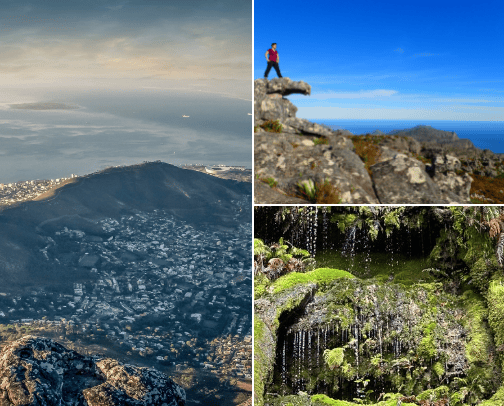 Coming to Cape Town? cover photo collage