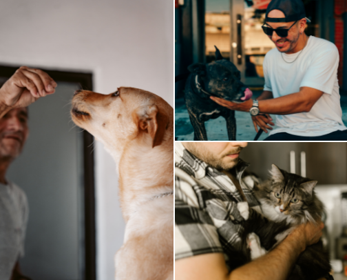 Father's Day Gifts for Dog Dads (and the Humans Who Love Them) cover photo collage