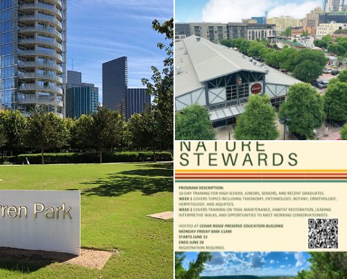 My Top Dallas Recs to visit, eat, drink, shop, and more! cover photo collage