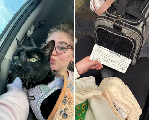 Cat Mom’s In-Flight Essentials ✈️🐈‍⬛ cover photo collage