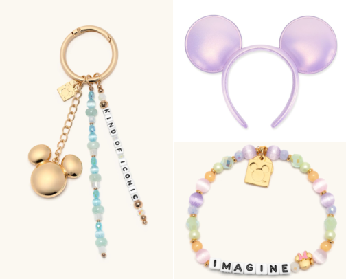 Disney Merch & Ears ✨ cover photo collage