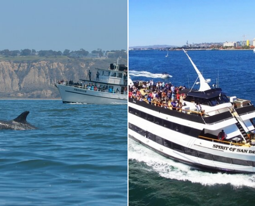 San Diego cover photo collage