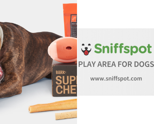 Gone to the Dogs cover photo collage