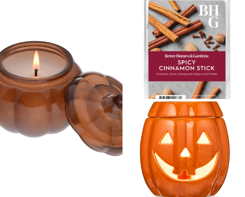 The Great Pumpkin Spice and Everything Nice cover photo collage