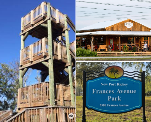 things to see and places to go in FLORIDA cover photo collage