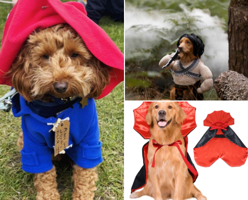 Runi's Unusual Halloween Outfits cover photo collage