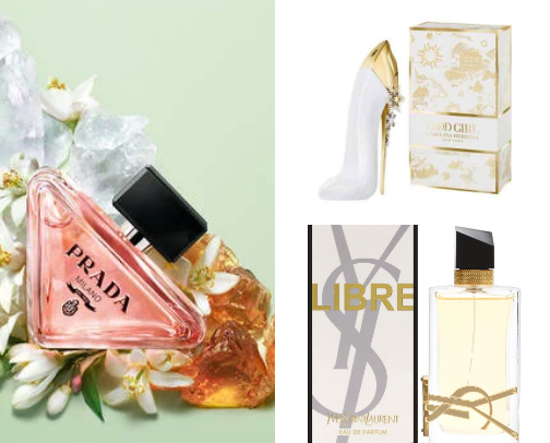 recommended perfumes👌🏻🛍️ cover photo collage