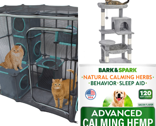 Happy Paws Must-Haves cover photo collage