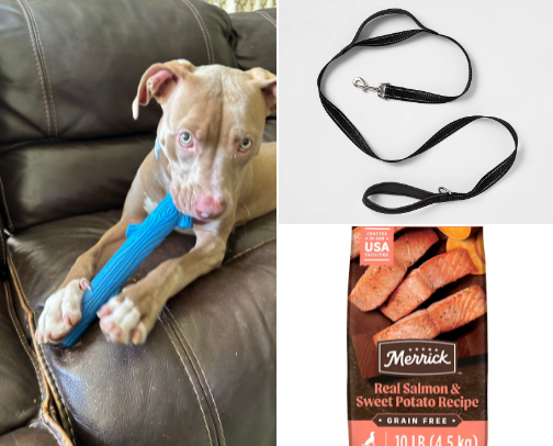 What Ariel the pittie dog wants cover photo collage