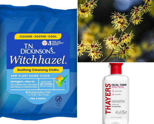 Witch hazel cover photo collage