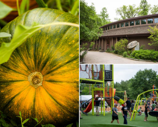 Places I love cover photo collage