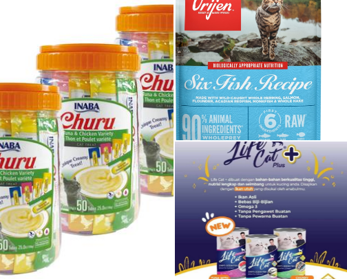 Best Cat Essentials for Cat Lovers cover photo collage
