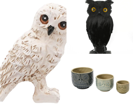 Owls for the Owl lovers! cover photo collage