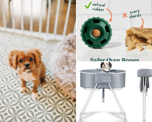 Items That Helped Me Survive the Puppy Stage cover photo collage