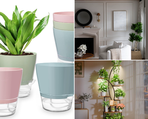 Plant for home. cover photo collage