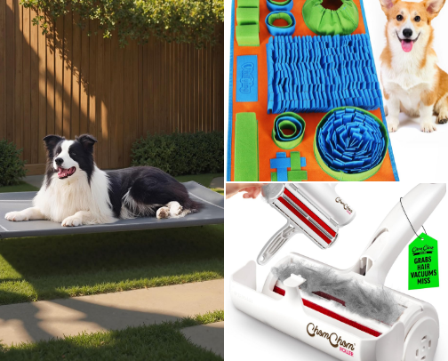 The Ultimate Dog Parent Checklist cover photo collage