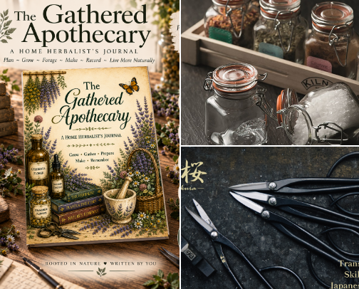 🌿 Foraging, Herbs & Home Apothecary cover photo collage