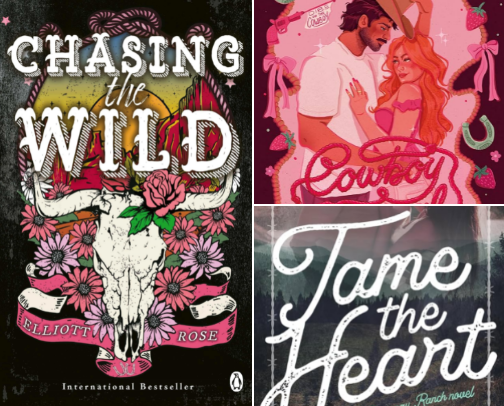 Cowboy Romance Books that aren’t Elsie Silver cover photo collage