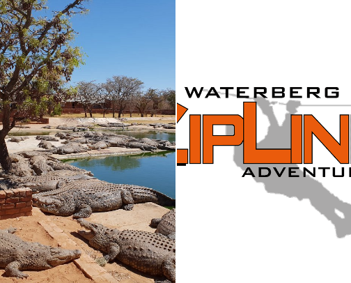 Amazing Places to see & adventures to do in South africa cover photo collage
