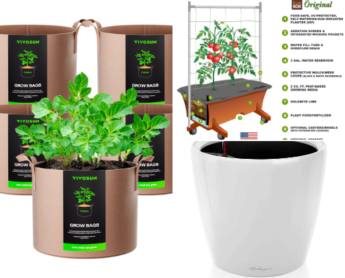 Container Gardening Essentials for Beginners cover photo collage