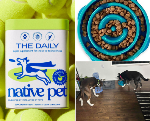 Pup Products I use Everyday!! cover photo collage