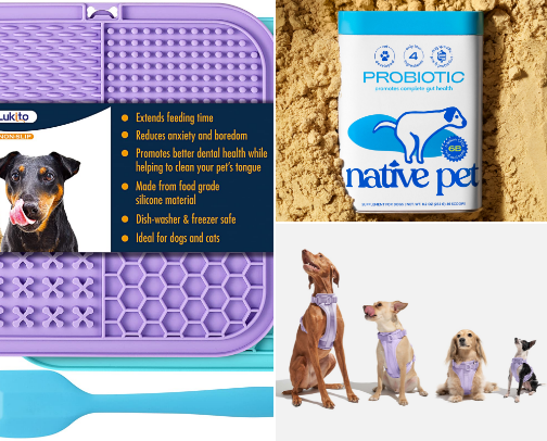 Dachshund Essentials🐶🌭 cover photo collage