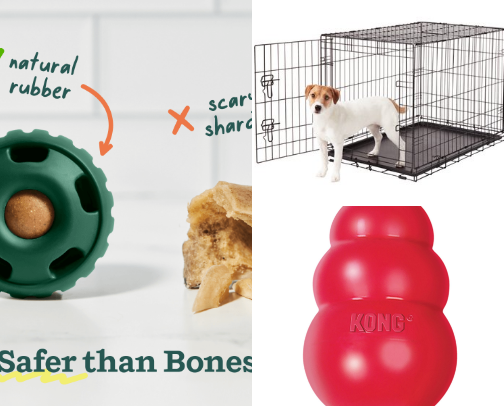 Puppy Essentials cover photo collage