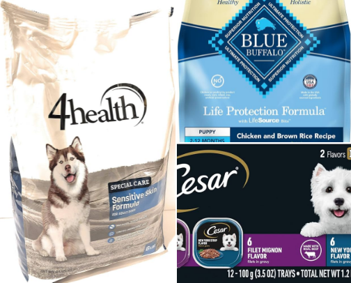 Our furry friend favorites! cover photo collage