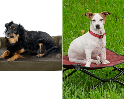Elevated Beds cover photo collage